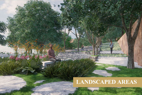 LANDSCAPED AREAS