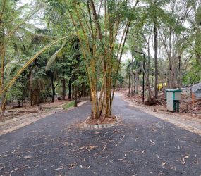 Villa Plots in Kanakapura Road
