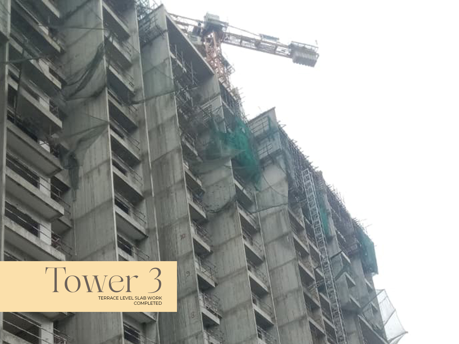 Svamitva Soulsprings Current Project Status