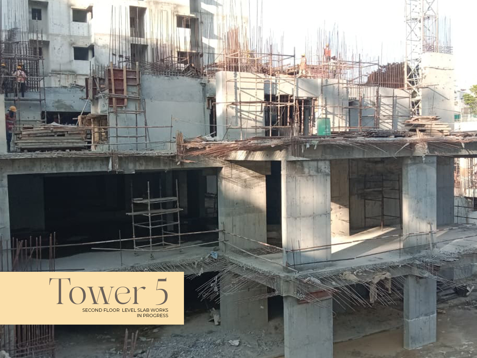 Svamitva Soulsprings Current Project Status