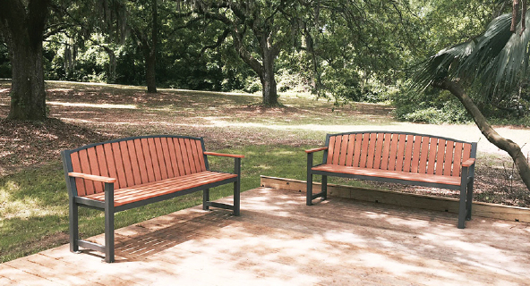 Tree Line Road With Benches