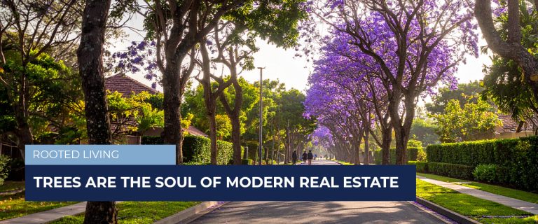 20260520_Blog-Trees-in-the-heart-of-modern-real-estate-developments_Header
